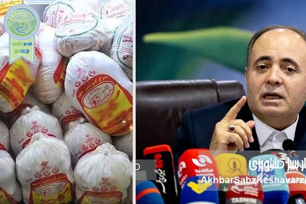 ادعای نوری قزلجه درباره «خودکفایی مرغ»؛ دستاوردی واقعی یا بازی با واژه‌ها و آمار؟
