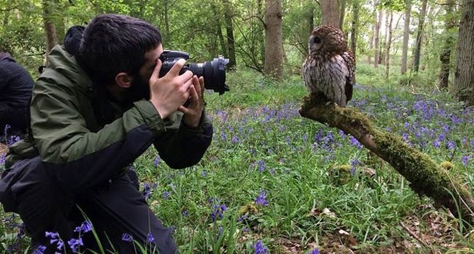 عکاسی به قیمت جان پرندگان

