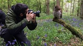 عکاسی به قیمت جان پرندگان

