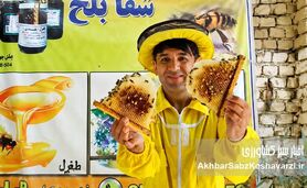 زنبورداری افغانستان در پیچ وخم مشکلات ولی زنده+کلیپ