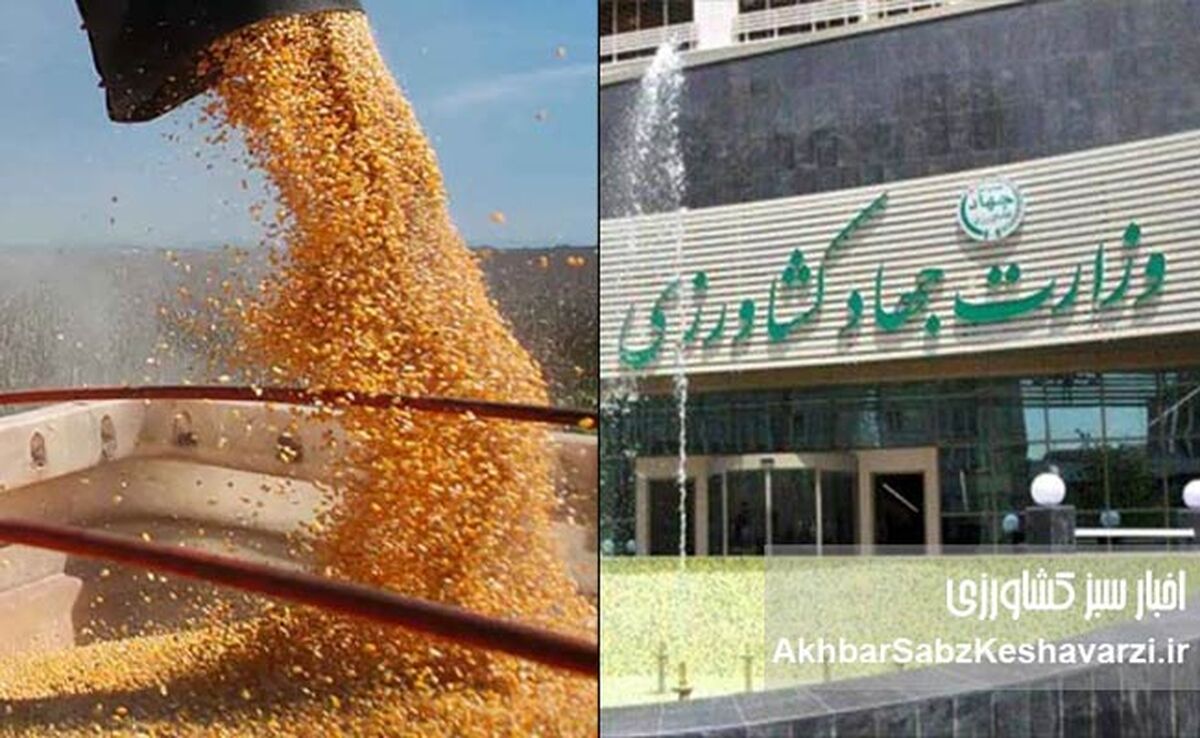 خالی‌فروشی مجاز، خالی‌فروشی غیرمجاز؛ آزمون قانون در دولت چهاردهم