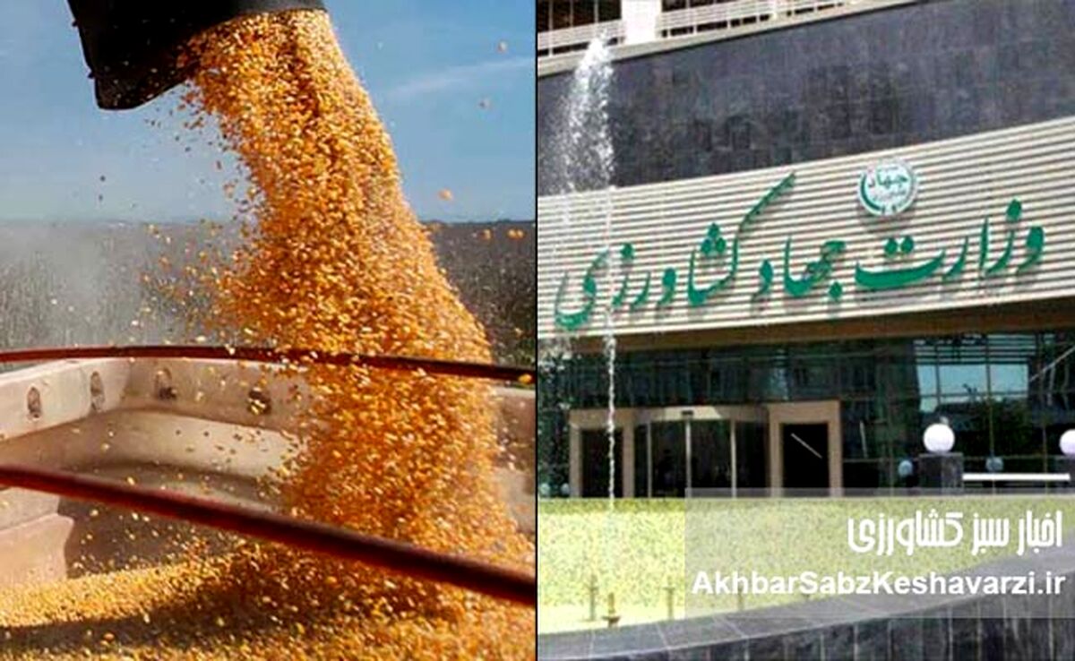 خالی‌فروشی مجاز، خالی‌فروشی غیرمجاز؛ آزمون قانون در دولت چهاردهم