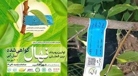 نمودی دیگر از بلوغ و شکوفایی آیفارم

