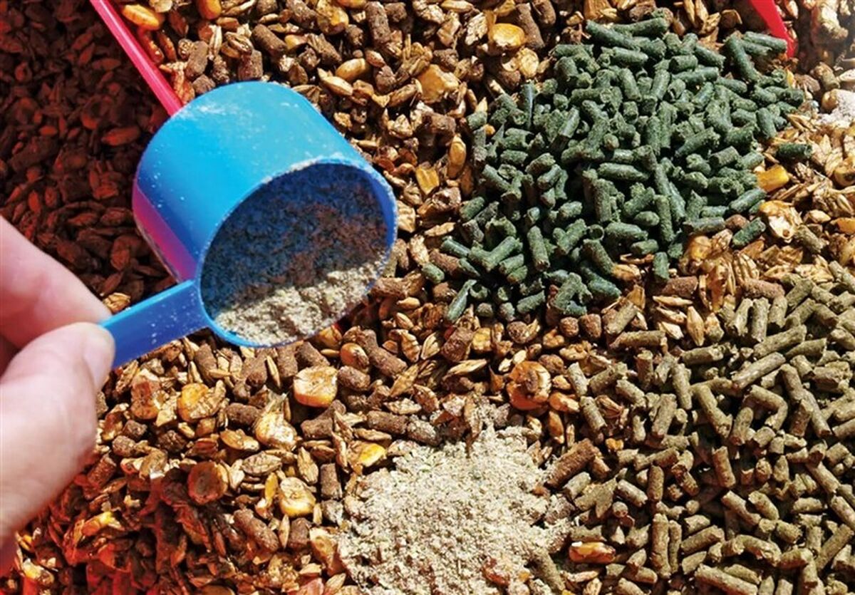 اقتصاد پسماند در کشاورزی؛ چرا ایران از ضایعات مزرعه، سوخت زیستی و خوراک دام نمی‌سازد؟