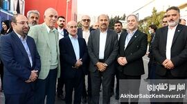 عبدالعلی‌زاده: جهش شیلات در گرو گسترش حمایت از بخش خصوصی و رفع تنگ‌نظری‌های دولتی
