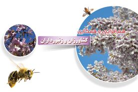 هم‌افزایی و همکاری کشاورزان و زنبورداران

