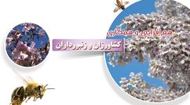 هم‌افزایی و همکاری کشاورزان و زنبورداران

