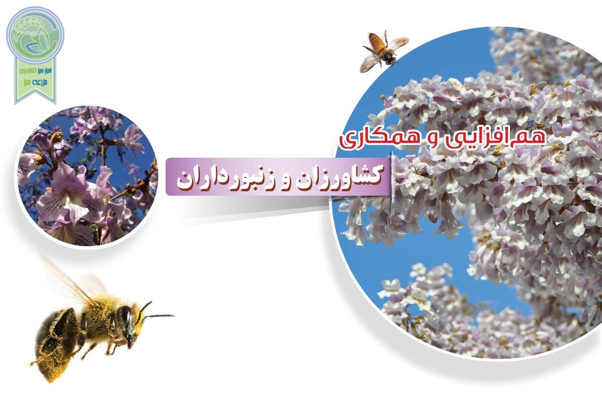 هم‌افزایی و همکاری کشاورزان و زنبورداران

