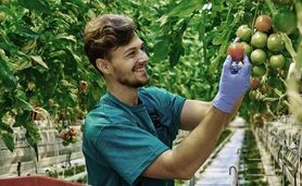 ۲ هزار نیروی متخصص جذب وزارت جهاد کشاورزی می‌شوند

