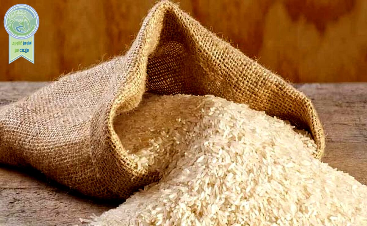 قیمت هر کیلو برنج در میادین میوه و تره‌بار چند؟

