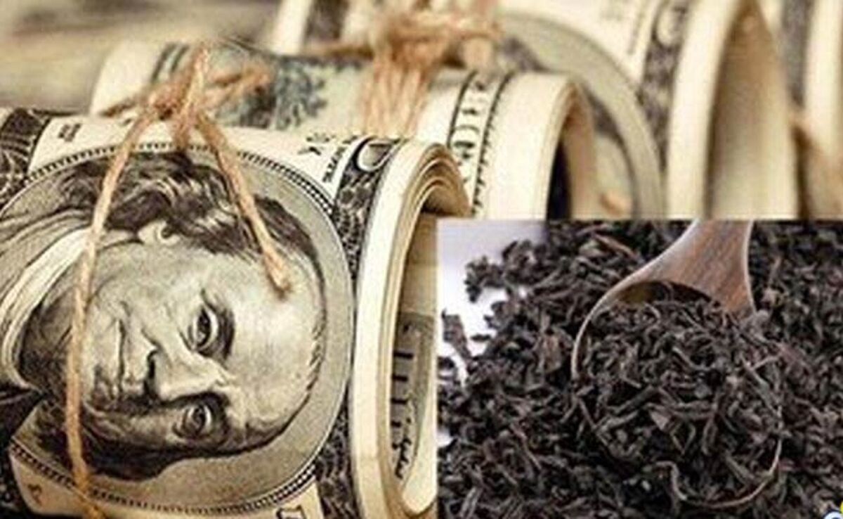 طعم تلخ چای دبش برای 2 وزیر دولت سیزدهم

