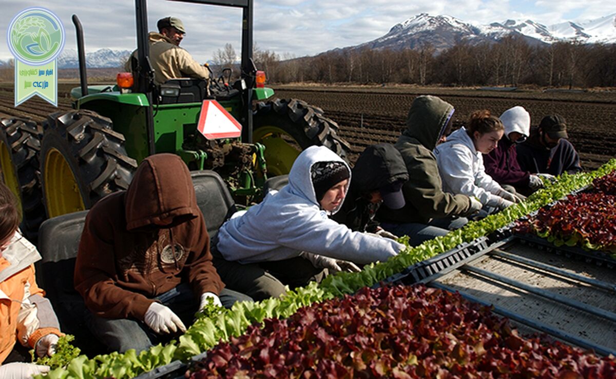 حال، زمان مناسبی برای تأسیس وزارت کشاورزی آلاسکا است