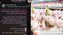 فریاد مرغداران گوشتی به پاستور رسید؛ قرار تجمع مقابل جهاد