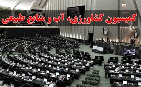 گمانه‌زنی‌ها درباره ریاست کمیسیون تامین امنیت غذایی کشور

