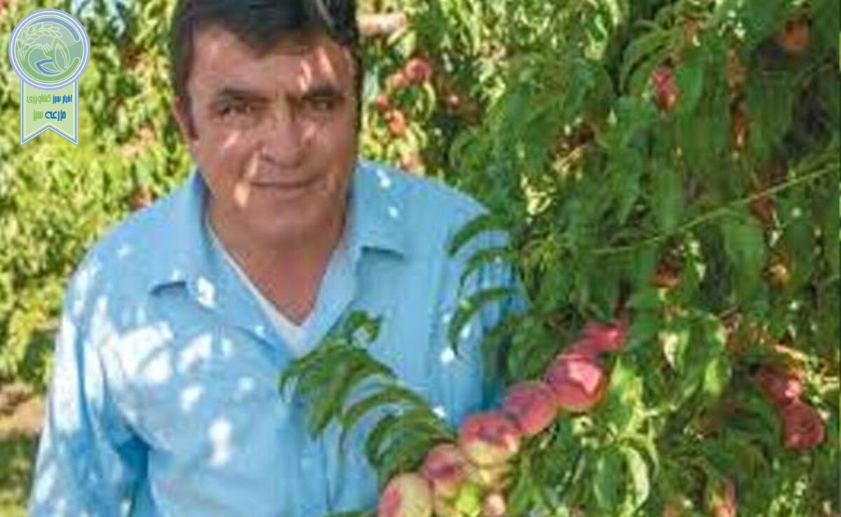 نابغه ایرانی در کشور بیگانه+ ویدئو

