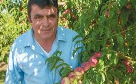 نابغه ایرانی در کشور بیگانه+ ویدئو

