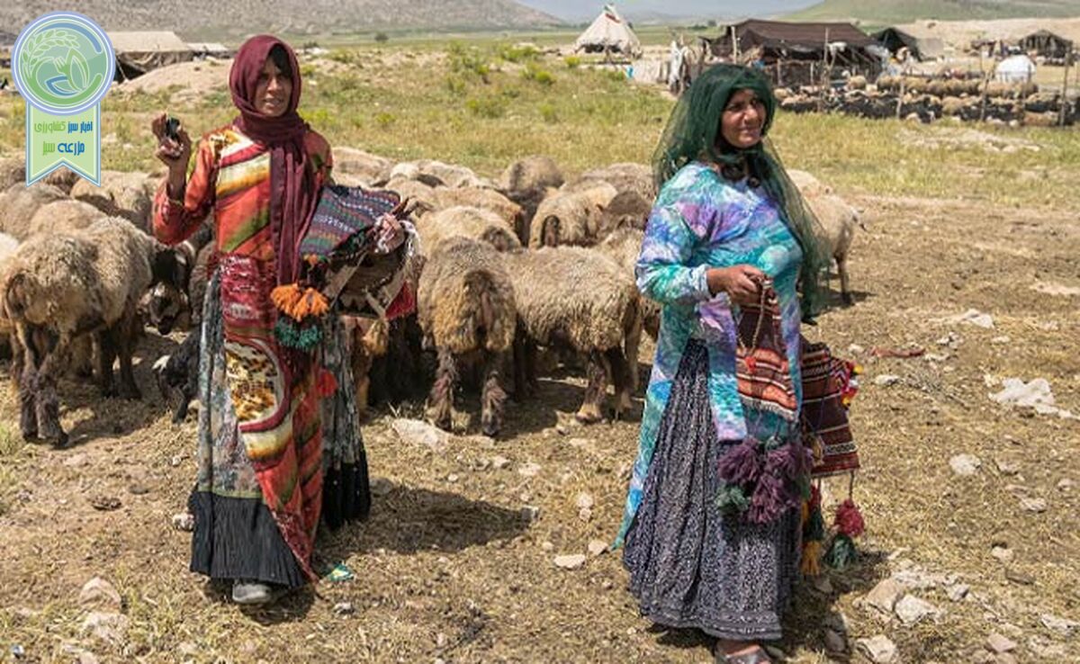 روستاییان و عشایر نگین اقتصاد کشور

