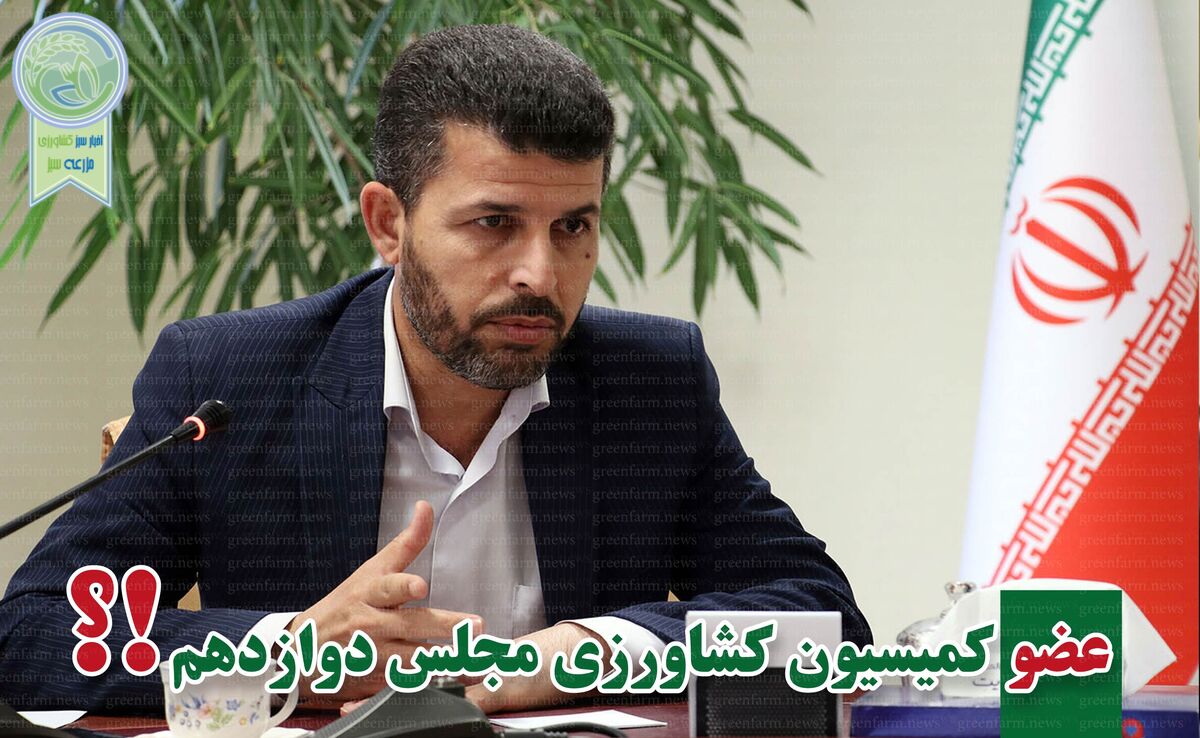 عباس پاپی زاده نماینده مردم دزفول در مجلس دوازدهم شد

