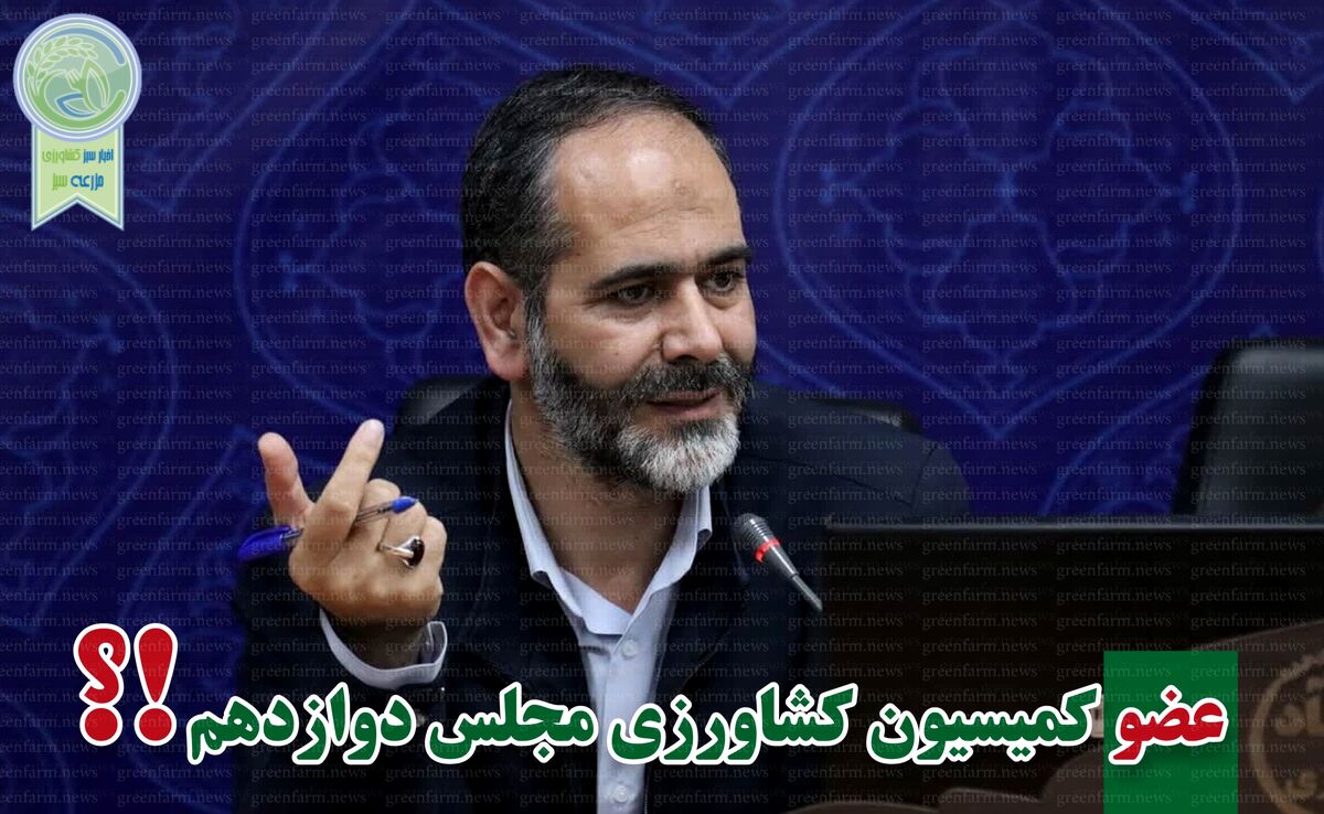 علیرضا عباسی با ۱۰۸ هزار رای راهی مجلس شد

