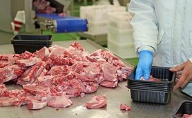 فروشگاه‌های اینترنتی امکانات توزیع بهداشتی گوشت را ندارند

