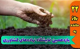 نمایشگاه جامع کشاورزی، گامی مهم در جهت توسعه کشاورزی پایدار

