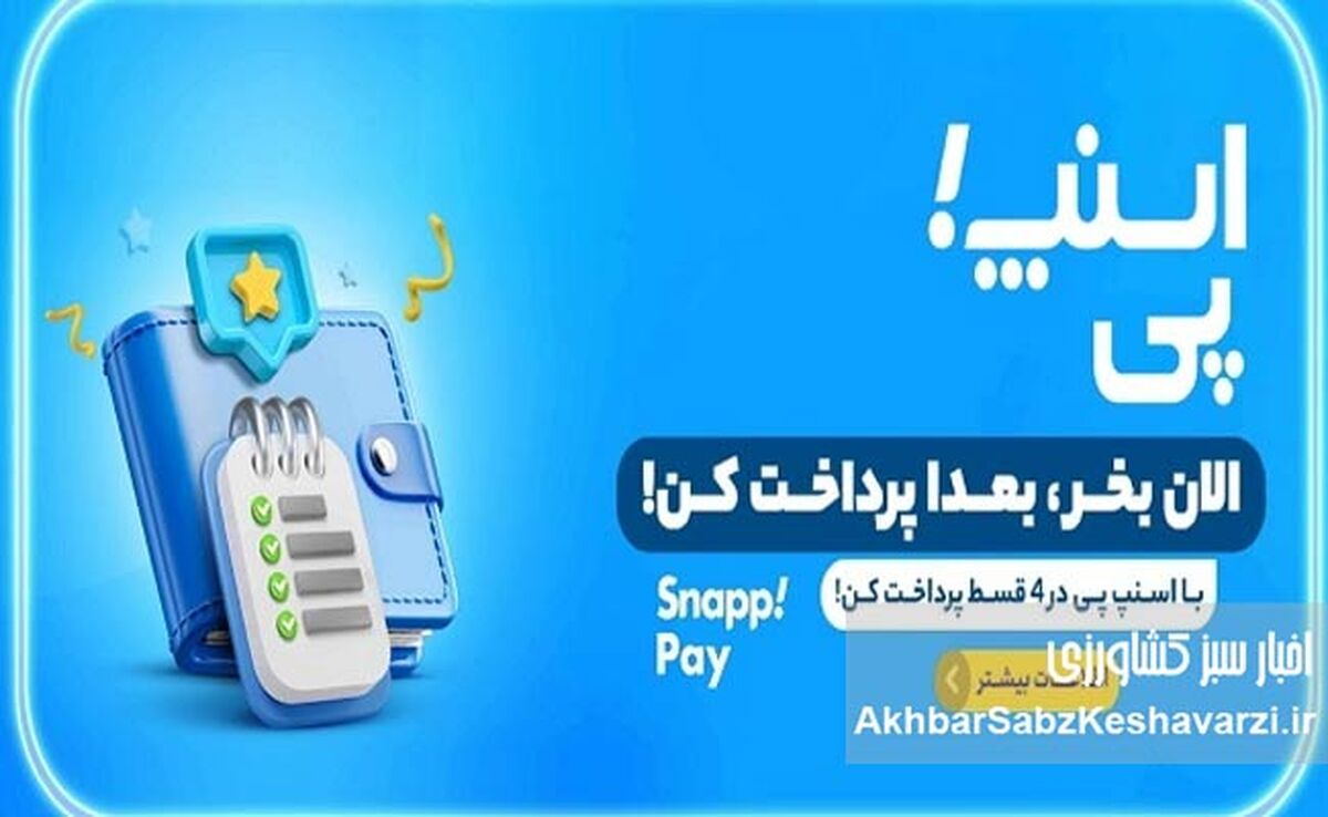 حذف ناگهانی «اسنپ‌پی» کاربران را شوکه کرد؛ پایان خرید اعتباری؟