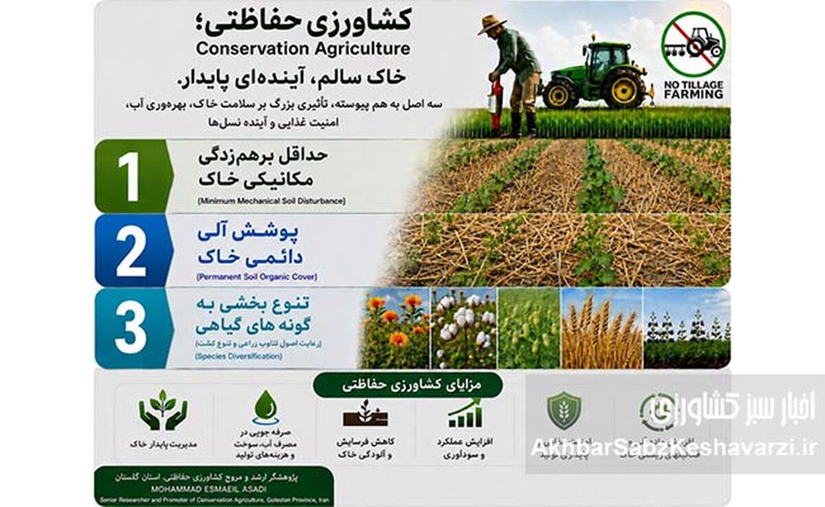 قدردانی از کشاورزان؛ قهرمانانی که جهان را سیر نگه می‌دارند+پادکست