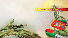 آنچه باید درباره قارچ‌کش‌ بدانید+ اینفوگرافی 

