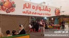 جشنواره انار؛ تلفیقی از فرهنگ و اقتصاد ایران
