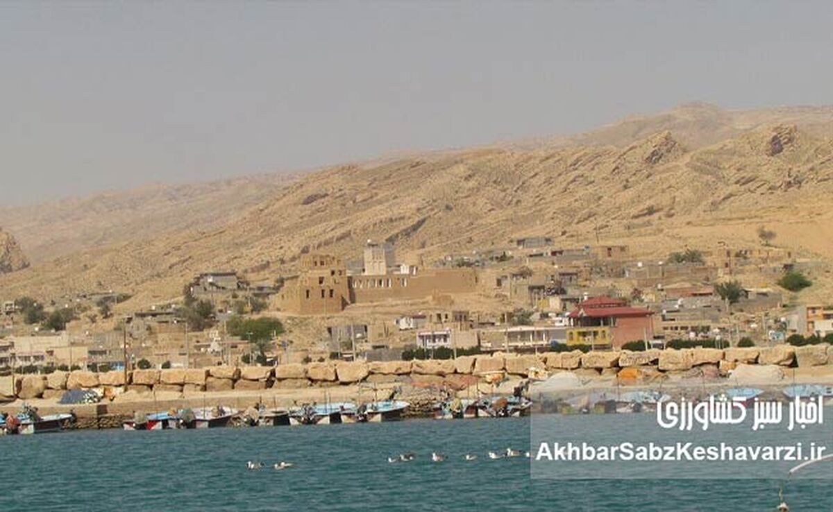سیراف در آستانه ثبت جهانی؛ میراث خلیج فارس جهانی می‌شود؟
