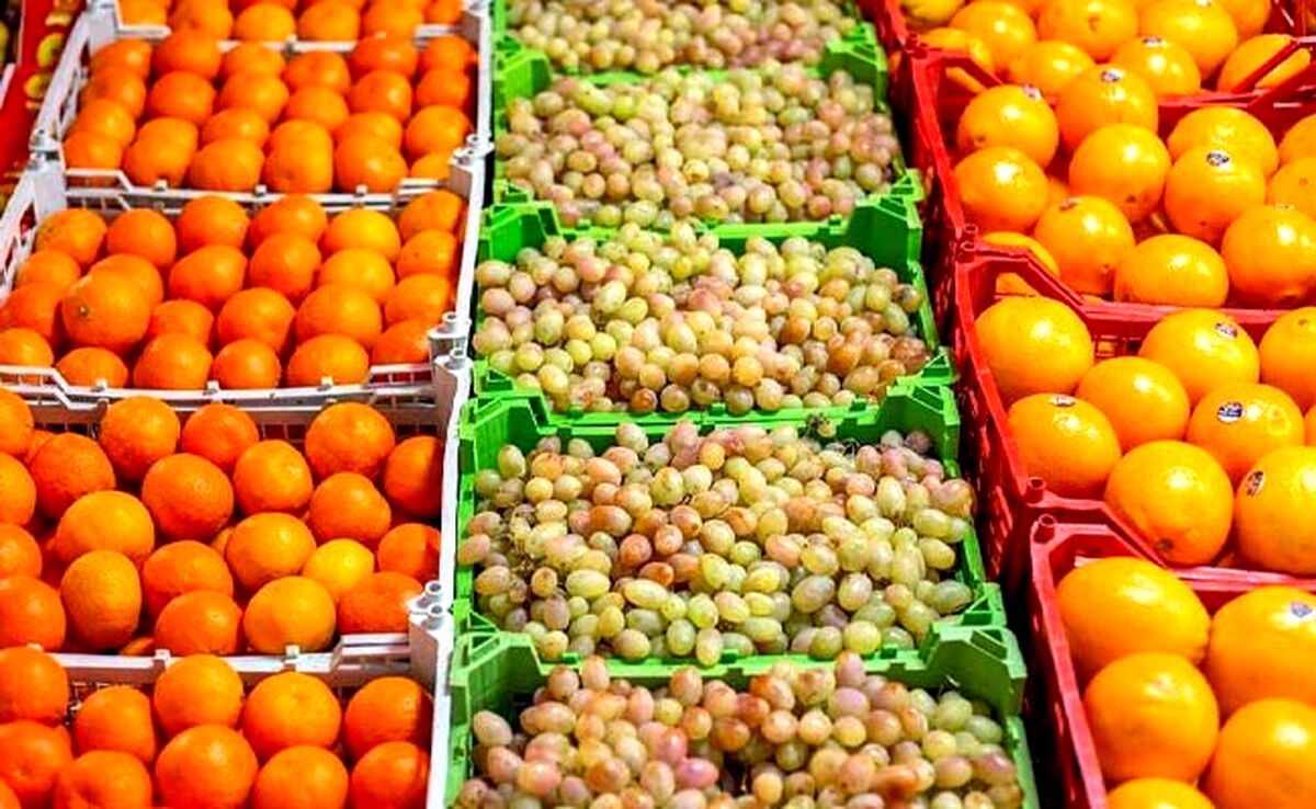 قیمت میوه و تره بار ۱۶ فروردین ۱۴۰۳+جدول

