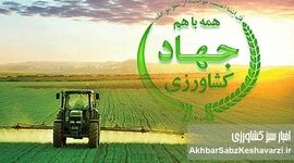فاصله از مأموریت اصلی؛ چرا تولید و کشاورزان دیگر اولویت نخست نیستند؟

