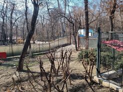 میراث فرهنگی ورود کرد؛ حصار پارک قیطریه برداشته شد

