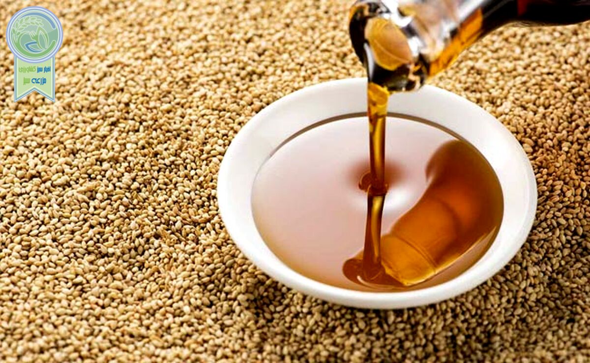 مصرف روغن کنجد و فواید آن برای سلامت بدن

