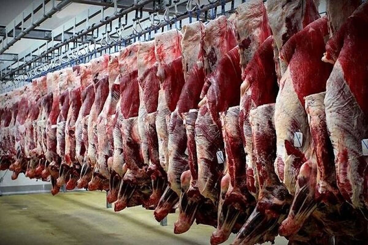 تنظیم بازار گوشت قرمز با تسهیل واردات و افزایش عرضه