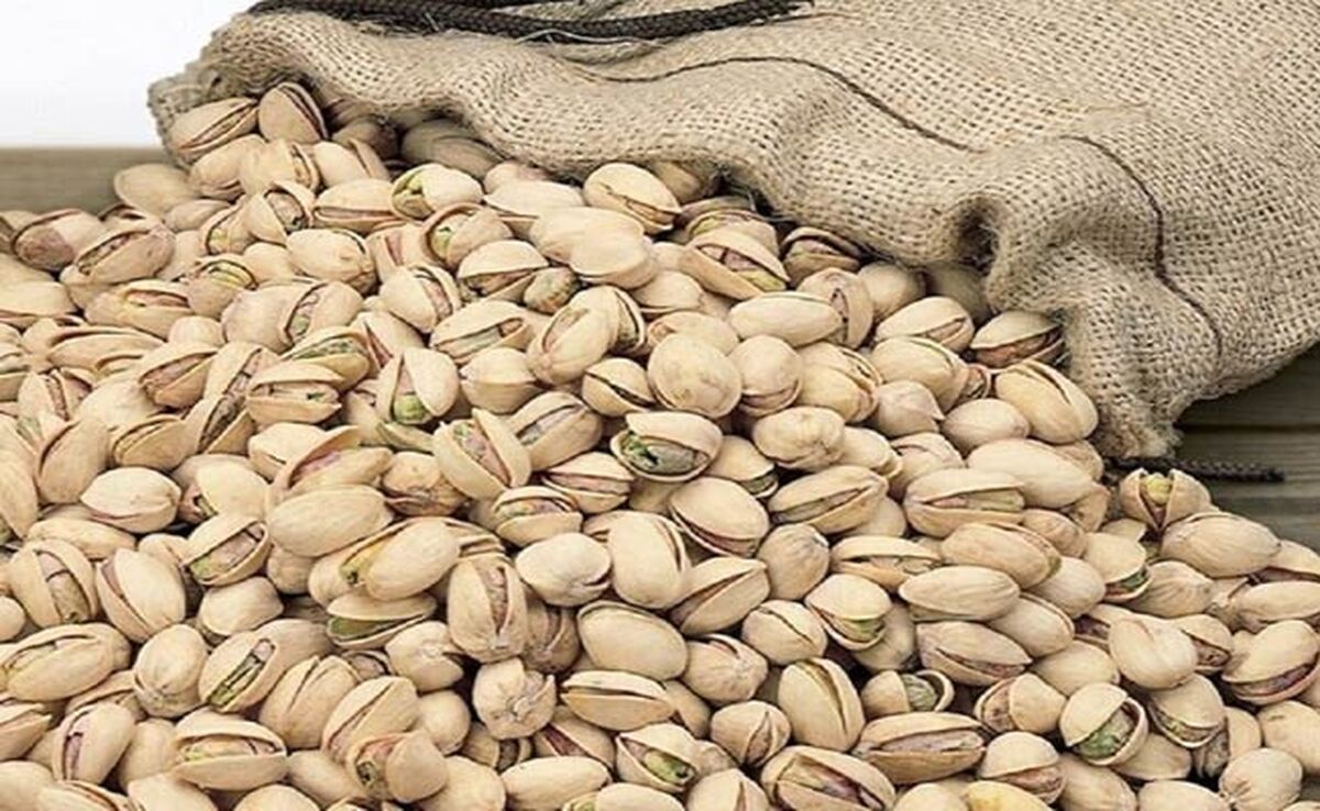 حال صنعت خشکبار ایران خوب نیست

