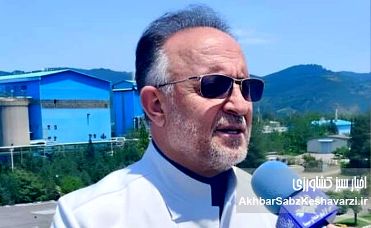 صنایع چوب و کاغذ مازندران در چنگال مالیات: ۱۷۰ میلیارد ریال برداشت ناگهانی، قلب تولید را فشرد!