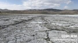 مهاجرت، سرطان و خشونت؛ فاجعه‌ای که در سکوت رخ می‌دهد