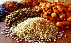 قیمت نهاده های دامی و کشاورزی ۵ اردیبهشت ۱۴۰۳+ جدول

