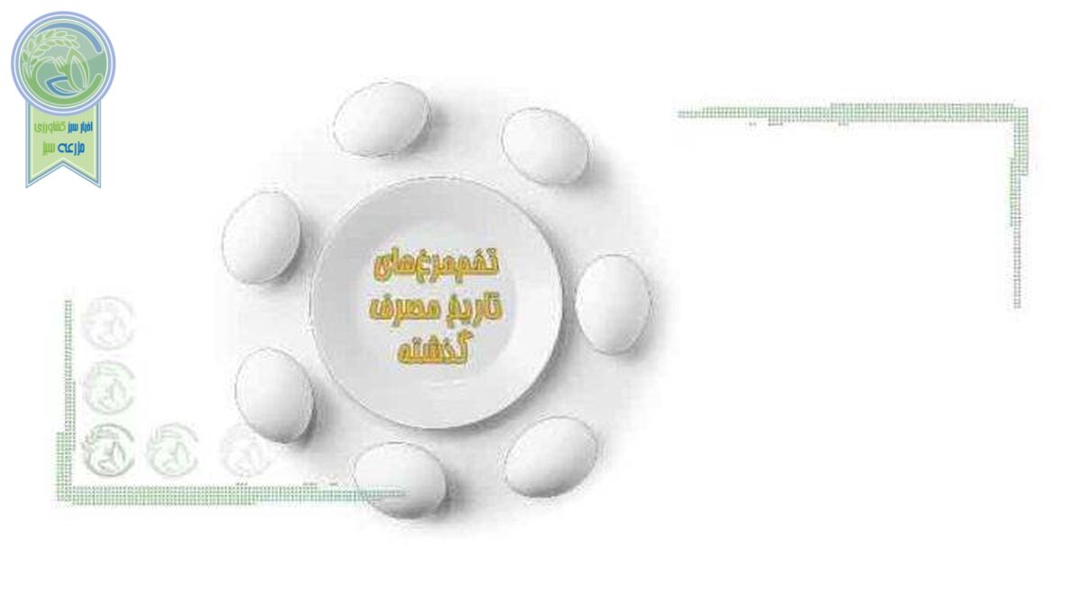 تخم‌مرغ‌های تاریخ مصرف گذشته