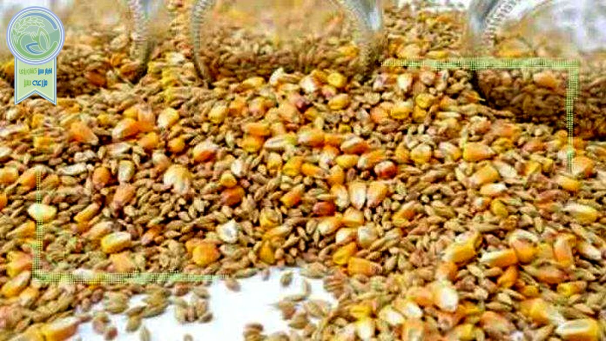قیمت نهاده های دامی و محصولات کشاورزی ۲۲ مهر ۱۴۰۲
