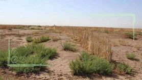 امنیت غذایی کشور در گرو احداث بادشکن‌ها