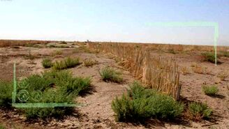 امنیت غذایی کشور در گرو احداث بادشکن‌ها
