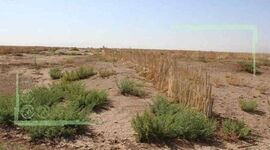 امنیت غذایی کشور در گرو احداث بادشکن‌ها