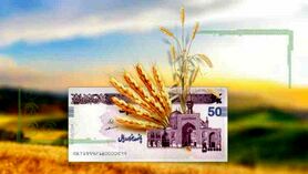 تسویه 155 هزار میلیارد تومان مطالبات گندمکاران