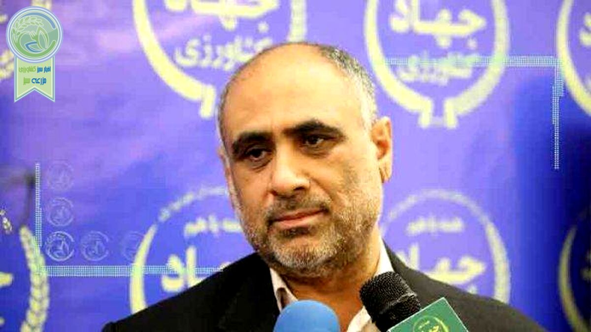 نیکبخت: تمام مطالبات گندم‌کاران پرداخت شد