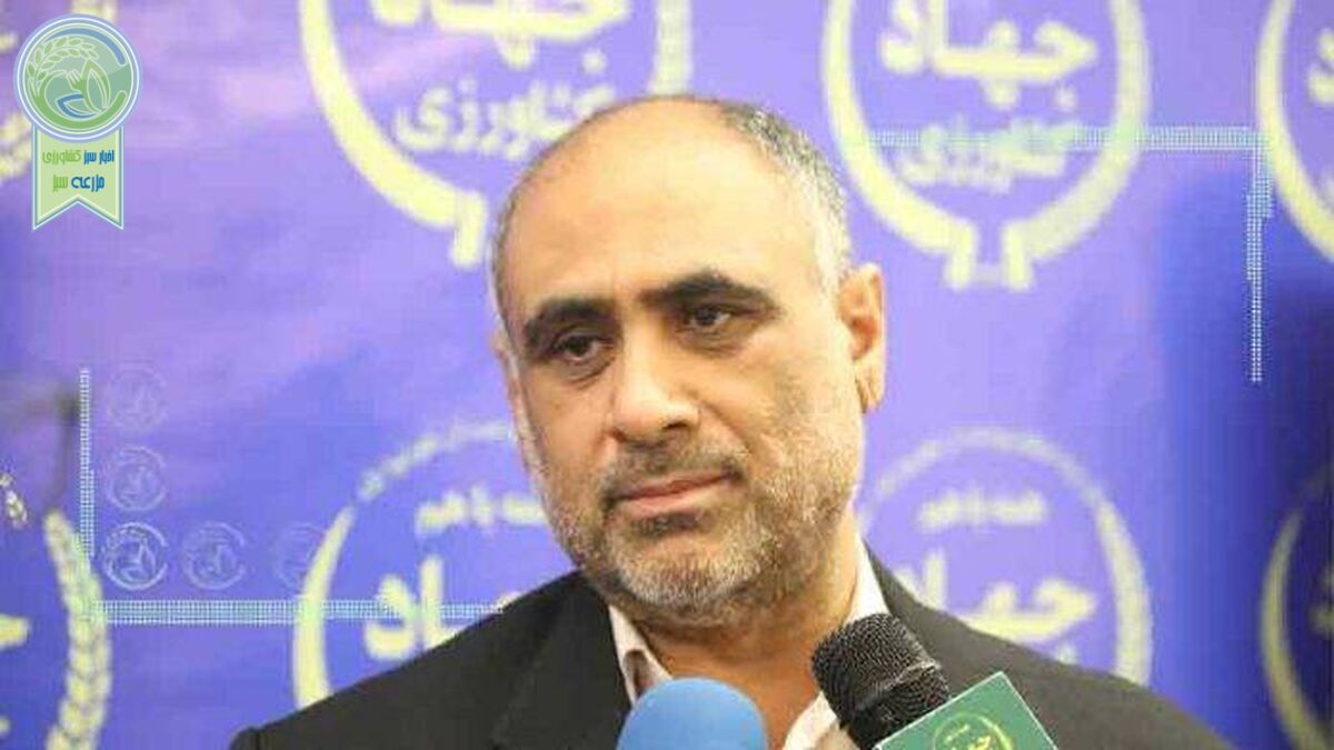 نیکبخت: تمام مطالبات گندم‌کاران پرداخت شد