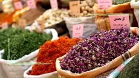 بذر گیاهان دارویی سبز نشد