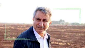 تولید گندم با کیفیت در دستور کار است