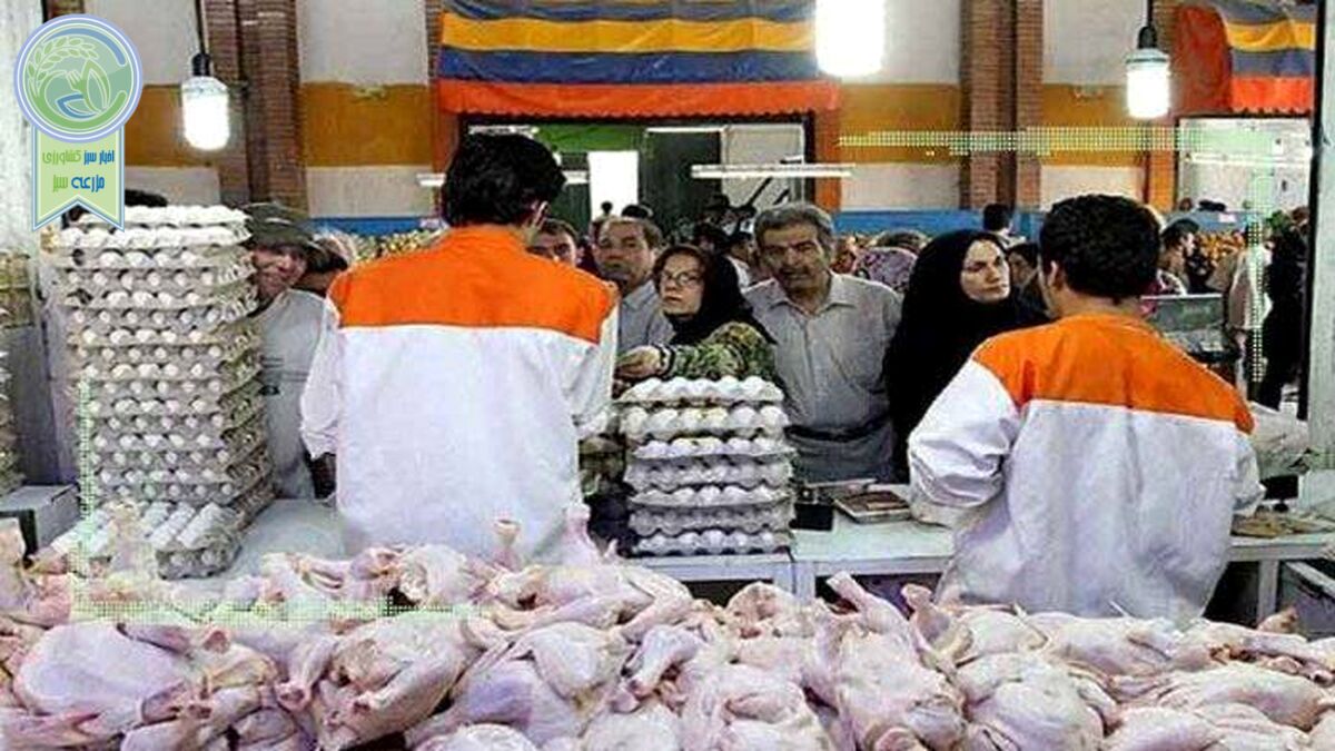 قیمت انواع مرغ در ۲۴ آبان ۱۴۰۲